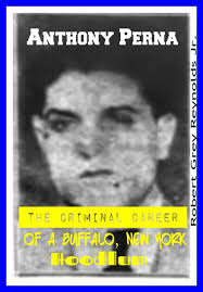 Anthony Perna The Criminal Career of a Buffalo, New York Hoodlum by Robert  Grey Reynolds Jr