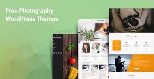 You must go for a wordpress theme that has been specifically designed keeping a photography website in mind, that here's a collection of some of the best premium and free wordpress themes for photographers, that will bring your dream of creating a beautiful photography website to reality! 15 Best Free Wordpress Photography Themes For Creating Photography Portfolio