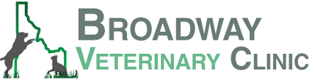 We combine traditional and alternative medicine in order. Broadway Veterinary Clinic Veterinarian In Idaho Falls Id Usa Home Broadway Veterinary Clinic Veterinarian In Idaho Falls Id Us