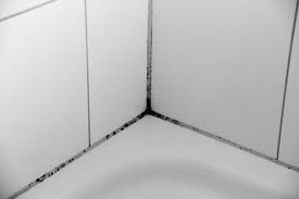 Bekijk meer ideeën over zwarte badkamer, badkamer zwart, badkamer. Schimmel Op Badkamertegels Verwijderen Tips Van Tante Kaat