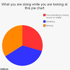What You Are Doing While You Are Looking At This Pie Chart