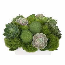 Maybe you would like to learn more about one of these? Moss Landscape Floral Art