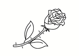 It is the rose bush, the genus rosa and the family rosaceae. Coloring Page Rose Free Printable Coloring Pages Img 23287