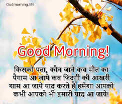 That is, it is time to start new, just we should be a thick weight or some more thick weight word that will force us to do something new and give us the courage to move forward. Best Good Morning Beautiful Images With Quotes Shayari In Hindi Good Morning Images Collection