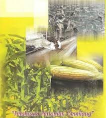 Berikut ini contoh latar belakang karya ilmiah, proposal kegiatan & laporan magang. Background Latar Belakang
