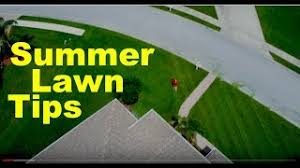 It is important to schedule your lawn care maintenance during times that match the life cycle of the turfgrass. Summer Lawn Tips For Northern Cool Season Lawns