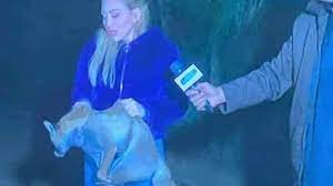 ويعد برنامج صبايا الخير من أشهر ما قدمت لما يطرحه من قضايا مثيرة للجدل. Ø±ÙŠÙ‡Ø§Ù… Ø³Ø¹ÙŠØ¯ ØªØ¹Ø°Ø¨ Ø«Ø¹Ù„Ø¨Ø§ Ø£Ù…Ø§Ù… Ø§Ù„ÙƒØ§Ù…ÙŠØ±Ø§Øª ÙˆØ­Ù…Ù„Ø© ØºØ¶Ø¨ ØªÙ„Ø§Ø­Ù‚Ù‡Ø§