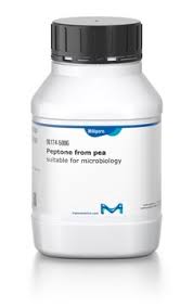 Image result for Peponium sp. A