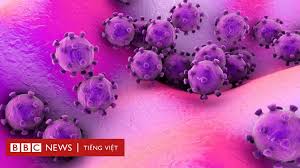 Khi nào thì cần tìm sự giúp đỡ? Nhá»¯ng Ä'iá»u Cáº§n Biáº¿t Vá» Virus Viem Phá»•i Corona Tá»« Tq Bbc News Tiáº¿ng Viá»‡t