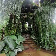 Hazel Palma (@palmanster) • Instagram photos and videos