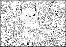 Coloring For Adults Kleuren Voor Volwassenen Desenler Ve Resim