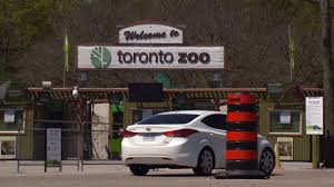 They work with other … Drive Thru Safari Officially Opens At Toronto Zoo Youtube