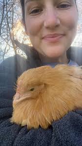 Quick question never really had snow like we're having in Pittsburgh right  now while I had chickens. Should I bring the girls in the house for the  next few days since we