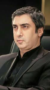 Polat Alemdar Panosundaki Pin