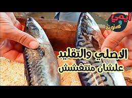 نصائح ومعلومات عند شراء سمك الماكريل عشان منديش فرصة لحد يغشنا Youtube