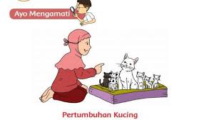 Mar 19, 2021 · adapun dalam artikel ini berisi kunci jawaban pembelajaran 5 di subtema 2, halaman 100, 101, dan 105. Kunci Jawaban Tema 1 Kelas 3 Sd Halaman 109 110 111 114 115 Subtema 3 Pembelajaran 2 Buku Tematik Tribunnews Com Mobile