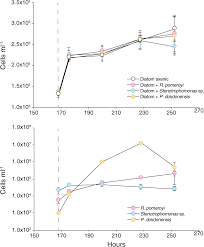 In this ted talk, michael kimmel, s. Resource Partitioning Of Phytoplankton Metabolites That Support Bacterial Heterotrophy The Isme Journal