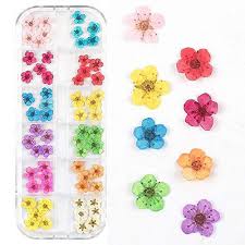 Check out our dried flowers for nails selection for the very best in unique or custom, handmade pieces from our craft supplies & tools shops. Valuu 3d Nail Dried Flowers Sticker 60 Five Petal Flower 12 Colors Nat Ninthavenue Europe