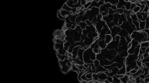 The new coronavirus is china moving quickly enough corona virus under microscope stock illustration download image. Rhinovirus Stock Video Footage 4k And Hd Video Clips Shutterstock