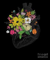 To draw a human heart, first draw what looks like the lower half of an acorn that's missing its cap. Retro Floral Anatomical Human Heart For Women Drawing By Noirty Designs