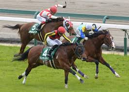 Последние твиты от nhkアニメ (@nhk_animeworld). Https Xn 6jwp9bq1vcjvlek Com Nhkmilecup2021data Analysis