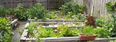 Turn your backyard into a jungle nook hideaway. Creating Edible Gardens Sustainable Gardening Australia
