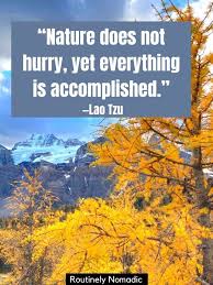 You'll feel relaxed in no time! 40 Short Nature Quotes Inspirational Thoughts On Nature Routinely Nomadic