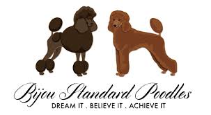 Red And Brown Standard Poodles