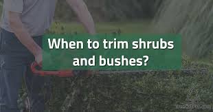 Prune summer or fall flowering shrubs, like roses and crepe myrtles, in late winter or early spring. When Is The Best Time Of Year To Trim Bushes And Shrubs Treecutpro
