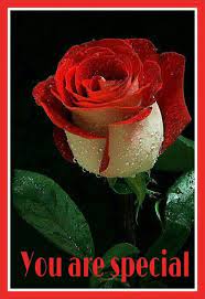 Home of the 2014 louisiana state floral designer of the year, samantha bates aifd, cfd!! Especially For You Flowers