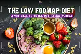 Image result for FODMAP