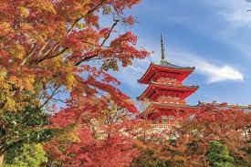京都のお寺で紅葉狩り 今年の秋こそ行きたい風情ある紅葉名所の寺院8選 2019 じゃらんニュース http www jalan net news img 2019 08 tp0920h kouyou 3 19 01 jpg 春夏秋冬 どの季節に訪れても見る者の心をとらえて離さない京都ですが 日本旅行 寺院 京都