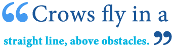 #donutjoes #electionday #vote #asthecrowflies #countingcrows #justforfun via ripl.com. What Does As The Crow Flies Mean Writing Explained