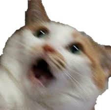 They are often called house here you can see and download free cat png images. Meme Cat Png Meme Wall