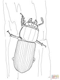 Vw Beetle Coloring Pages Bess Beetle Coloring Page 2020