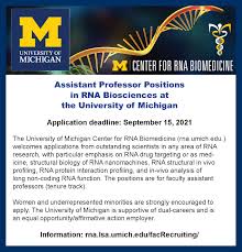 Jun 01, 2021 · to apply, please upload a cover letter and resume in microsoft word or pdf format. Recruitment Opportunities