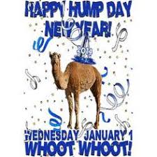 Hump day camel apk is the property and trademark from the developer. Hump Day Camel