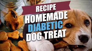 homemade diabetic dog treat recipe