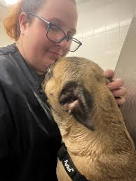 Production Puppies for Sale in West Texas