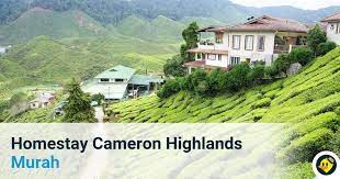 Apartment epul homestay cameron highland 3 is located at perumahan makmur cameron jaya tanah rata in cameron highlands only in 8.3 km from you can book apartment epul homestay cameron highland 3 on our website. Senarai Homestay Murah Dan Selesa Di Cameron Highlands C Letsgoholiday My