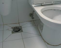 Maybe you would like to learn more about one of these? Floor Drain Wikipedia