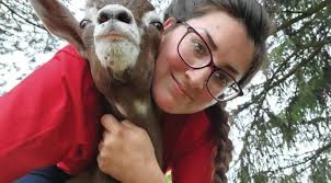 Walnut Creek Confidential: The cradle of Amish Country