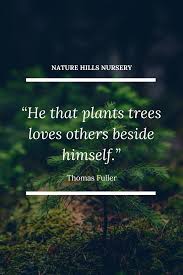 Some see nature all ridicule and deformity. Happy Earth Day Everyone Let S All Get Out And Plant Trees This Year Trees Earthday Trees To Plant Nature Quotes Tree Quotes