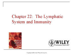 Chapter 22 The Lymphatic System And Immunity Copyright