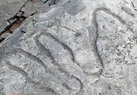 Traces will provide you with a true competitive differentiation to distinguish your service today and secure your dominance in the future! Traces Of Ancient Life Tell Story Of Early Diversity In Marine Ecosystems