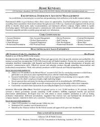 Insurance agents should have a prescribed license to sell various kinds of. Insurance Agent Cv Sample May 2021