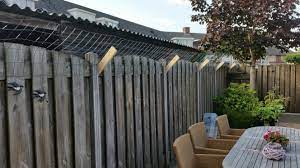 tuin afrastering voor katten buiten kat afscherming tuin katten