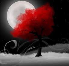 Art Black And White Pictures To Color 