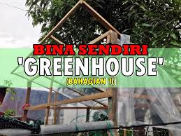 Rumah hijau 171.332 views7 year ago. Membina Sendiri Rumah Hijau Greenhouse Mini Bahagian 1