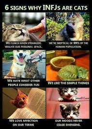 Pin By Jillian Savory On Infj Things Infj Personality Type Infj Personality Infj